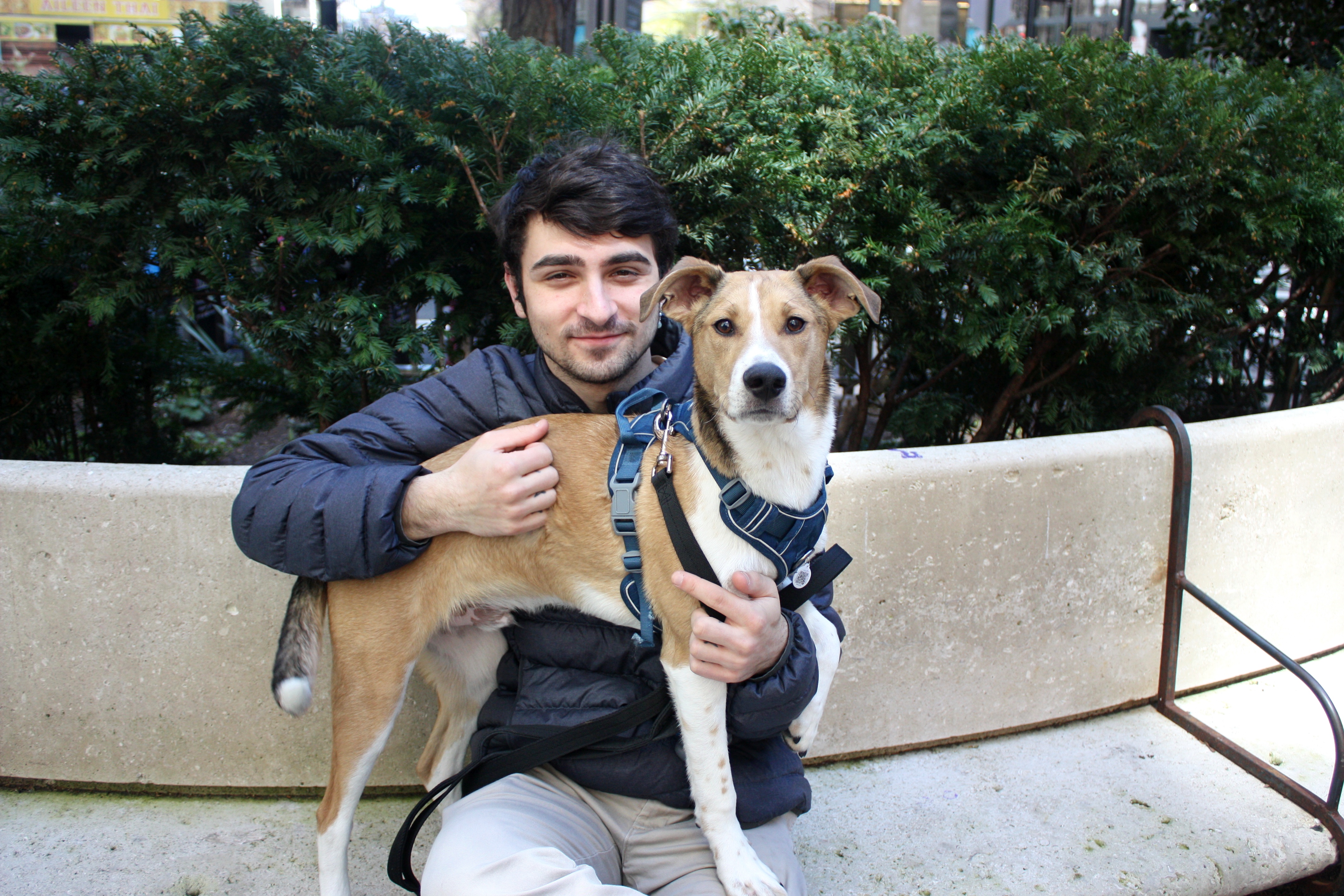 Seaport Pups 1